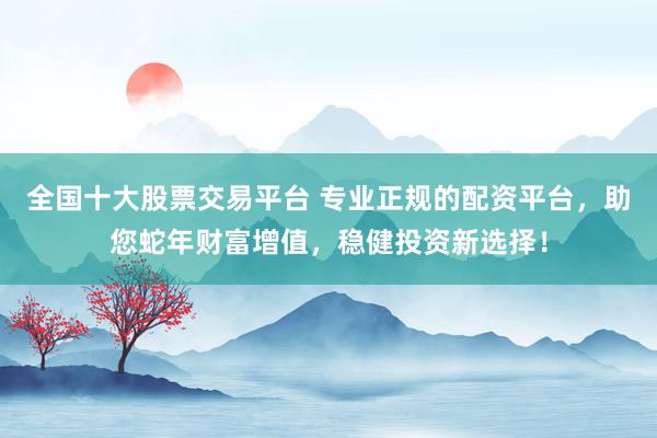 全国十大股票交易平台 专业正规的配资平台，助您蛇年财富增值，稳健投资新选择！