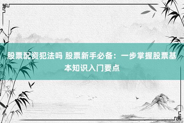 股票配资犯法吗 股票新手必备：一步掌握股票基本知识入门要点