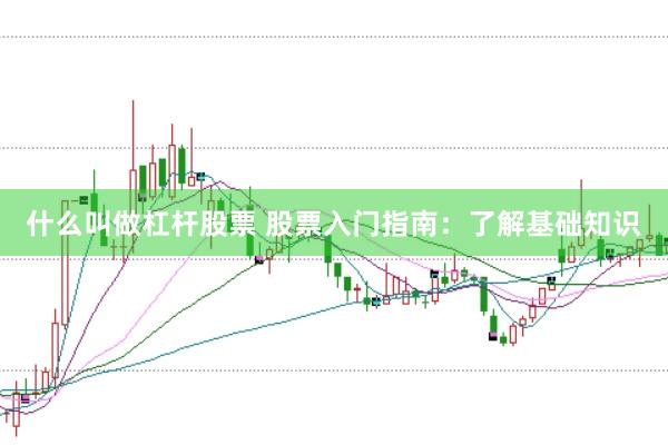 什么叫做杠杆股票 股票入门指南：了解基础知识