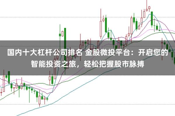 国内十大杠杆公司排名 金股微投平台：开启您的智能投资之旅，轻松把握股市脉搏