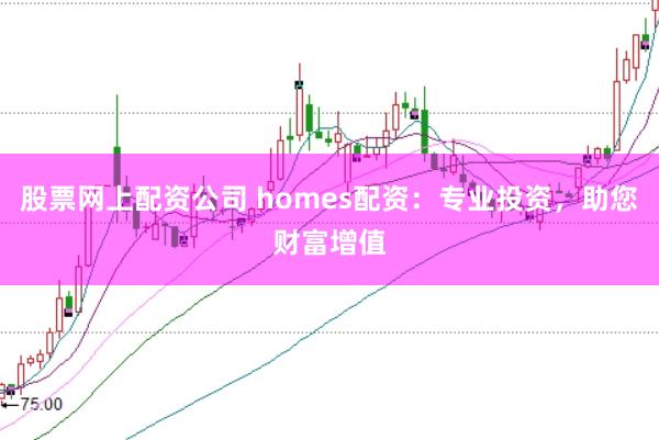股票网上配资公司 homes配资：专业投资，助您财富增值