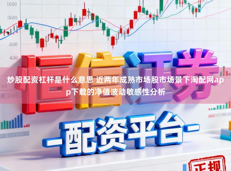 炒股配资杠杆是什么意思 近两年成熟市场股市场景下淘配网app下载的净值波动敏感性分析