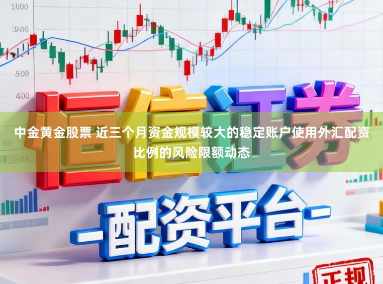 中金黄金股票 近三个月资金规模较大的稳定账户使用外汇配资比例的风险限额动态