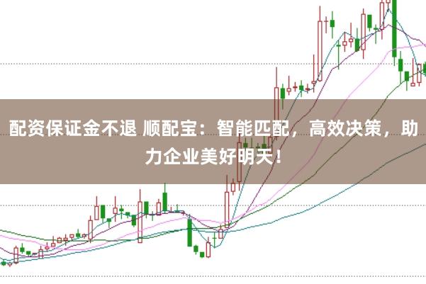 配资保证金不退 顺配宝：智能匹配，高效决策，助力企业美好明天！